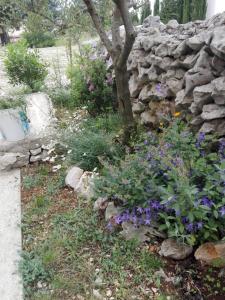 Apartments with parking space Zdrelac, Pasman - 21549