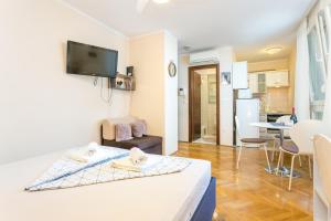 Apartments with WiFi Split - 21385