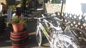 Gasthof Papillon