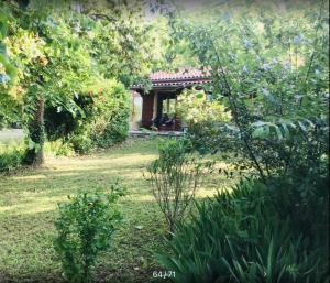 Maisons de vacances Le gite de Gascogne : photos des chambres