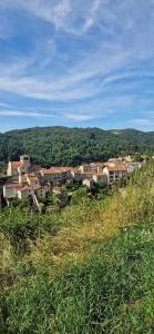 Maisons de vacances La maison du vigneron : photos des chambres