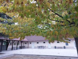 Szépasszonyvölgy Apartman