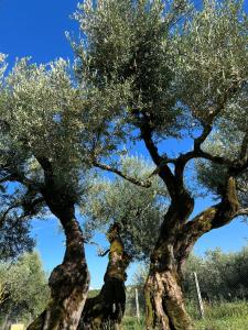 La Locanda delle Idee Perugia