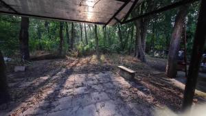 Apartament in Neptun !