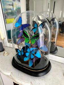 Central Paris Elegant Apartment near the Eiffel Tower and Invalides