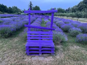 Bánhiday M4 Weekendhouse