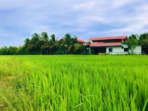 Rivonway Hotel Polonnaruwa