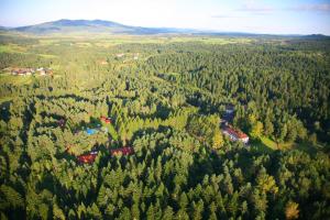 Perła Bieszczadów - Domki