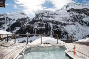 Powder Ridge - 6 bedroom chalet with hot tub - Les Boisses