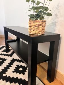 Stilingi šaulio skulptūros apartamentai