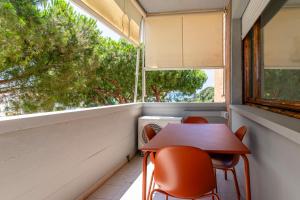 Livorno Sea View Flat W Balconies near the Beach!