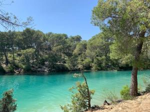 Appartements Appart provencal proche des lacs : photos des chambres