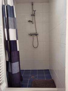 Appartements Les Camelias : photos des chambres