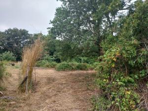 Campings Ecolieu a Coispean La Turballe : photos des chambres