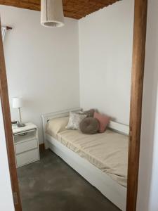 La Puerta Azul San Carlos