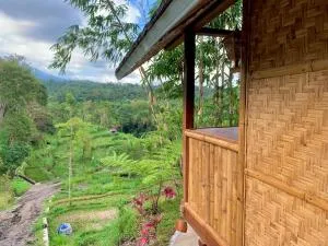 The Alam Tetebatu Bungalow & Restaurant - Sapit