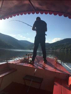 Casa Victor Cazanele Dunarii