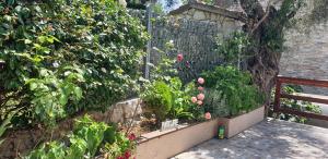 Apartment Bradex Dreams