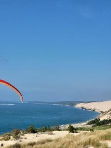 Au bord de leau rend la vie à Arcachon