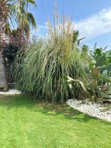 Villa Falcon with Swimming Pool and Great Views in Yalikavak Bodrum