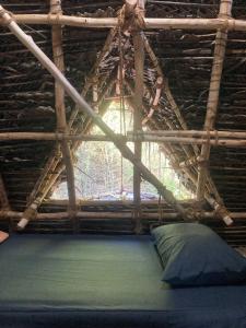 Nebula Nest Cafe & Hostel