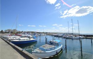 Havnehusene, Lejl 42