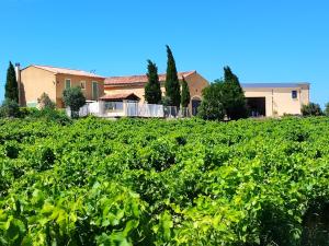 Appartements GITE LES GARRIGUES : photos des chambres