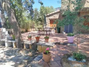 Casa Rural Viñas Perdidas - Ledrada