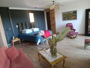 Villa provençale et ses grands pins