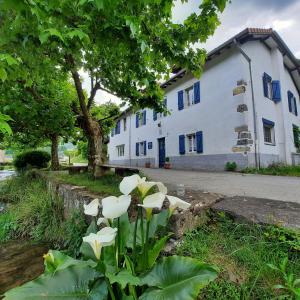 Maisons d'hotes AGUERRABERRIA FOLIES : photos des chambres