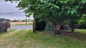 Maisons de vacances Maison avec jardin cloture : photos des chambres