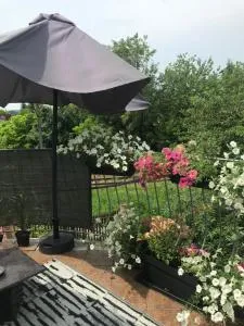 Apartament Mickiewicza - Mostiska