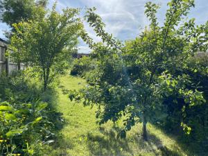 Fairhill Cottage Perfect location with garden in central Ballycastle