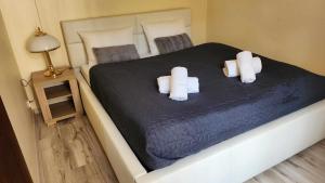 Apartament 14
