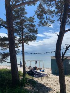 Przyczepy Camping Kormoran - Hel - Półwysep Helski