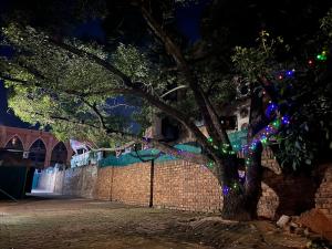 Casa Bravo - Pilgrims Palace