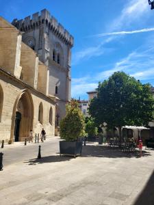 Appartements Au Centre de Villeneuve-les-Avignon : photos des chambres