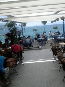 Orhidea House