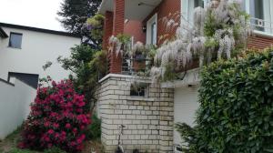 Appartements Nice family studio in villa Sceaux 600m RER B direct to Notre-Dame : photos des chambres