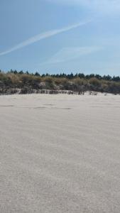 Domek drewniany u Grażynki