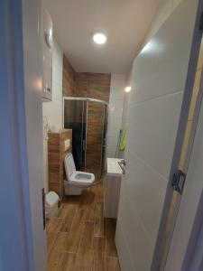 Apartman Banjski Raj
