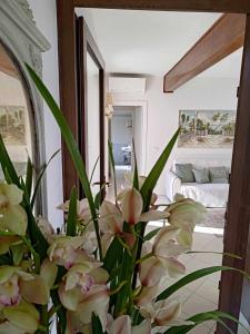 Berto's house tra mare e laguna