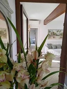 Bertos house tra mare e laguna - Treporti