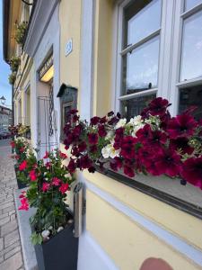 Hotel Zum Lamm