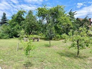 Domek letniskowy Ińsko BIO BOX