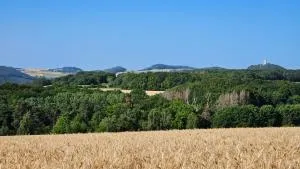 Ferienwohnung Rodder Maar - 辛齐希