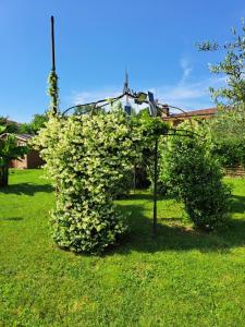 Villa ARPE