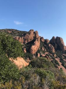 Appartements l’Anita : Appartement 1 Chambre