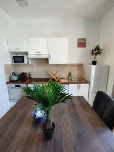 Appartements Blum : photos des chambres