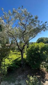 Maisons de vacances En Drome provencale mazet de charme avec piscine : photos des chambres